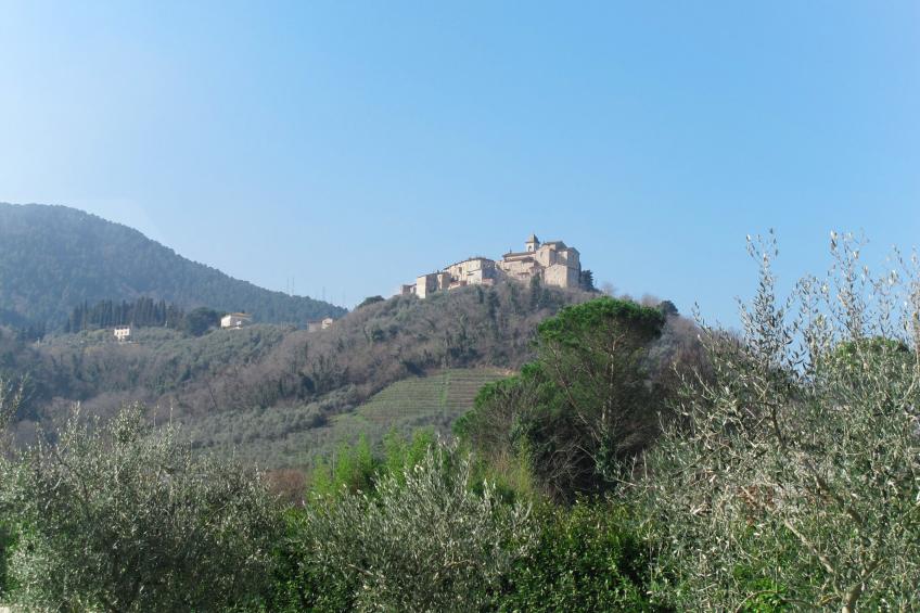 Tenuta Daussiè (LUU400) - foto 28