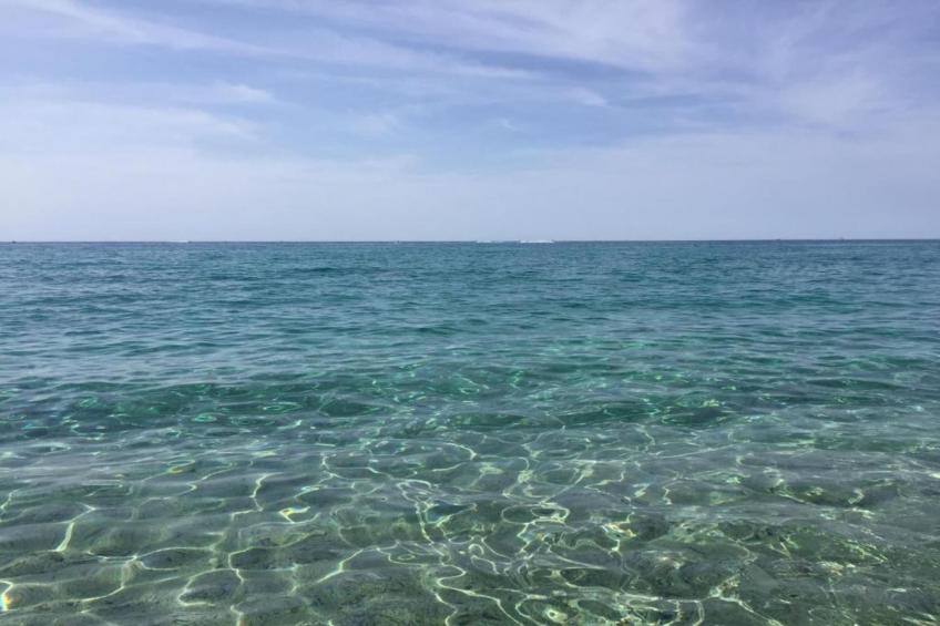 Résidence-Club les Villas Bel Godère - foto 26