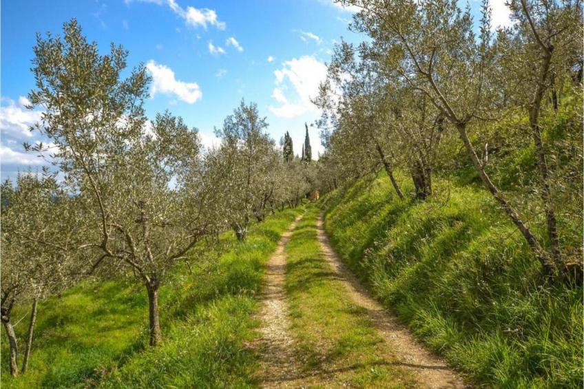 Podere Pulicciano Orciaia - foto 26