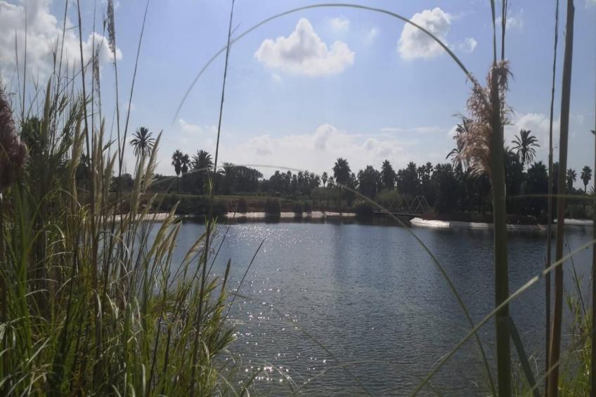 Can Xesquet - foto 6