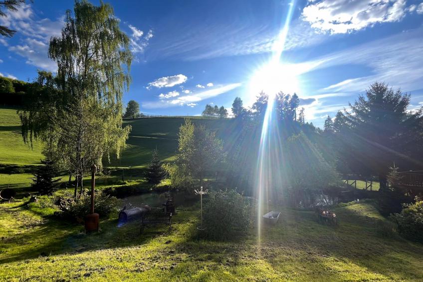 Am Damwildgehege I - foto 40