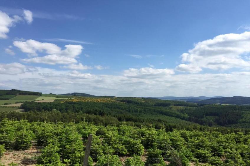 Sauerlandstuben - foto 41