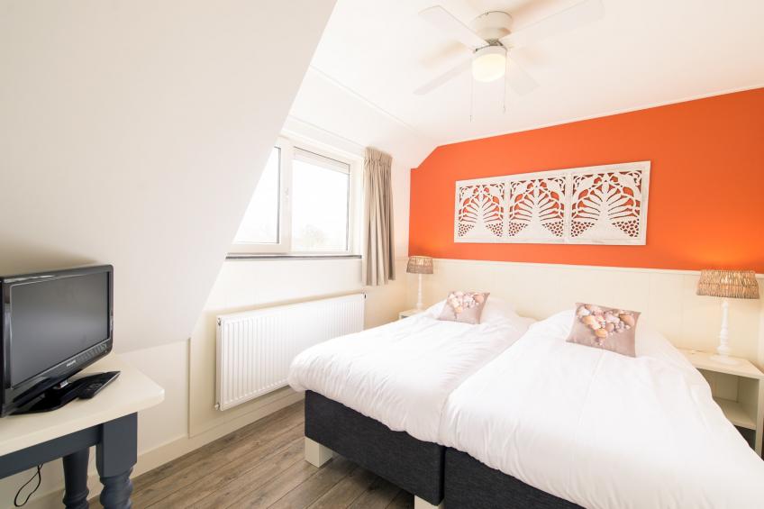 Alegria (9p) - foto 19