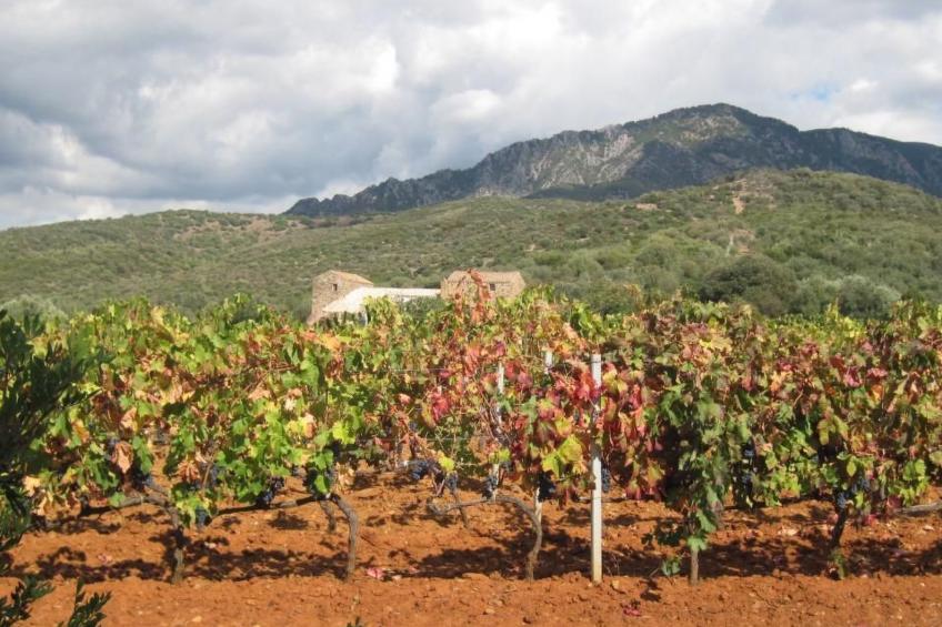 Su Sole de Barega - foto 28