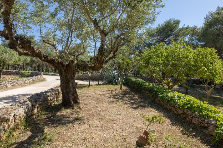 Villa Ariadne mit privatem Pool - foto 26