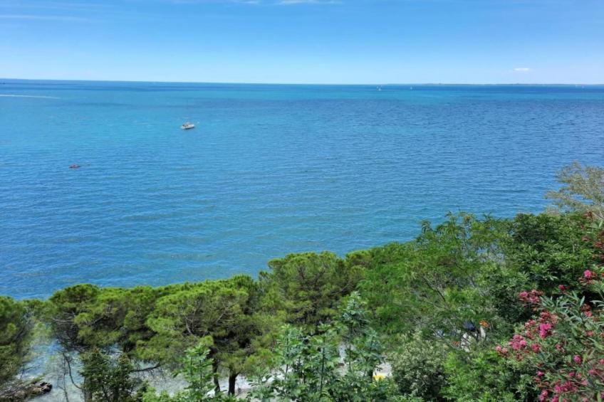 Les Balcons d'Auréa - foto 25