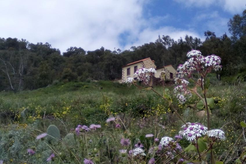 Ländliches Haus Las Caldereras - foto 3