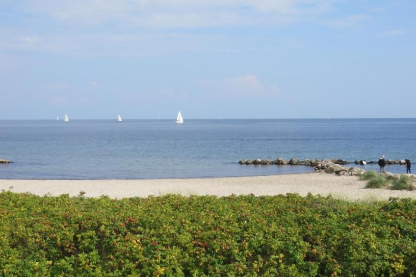 Boardinghouse Kappeln - Familien Studio - foto 7