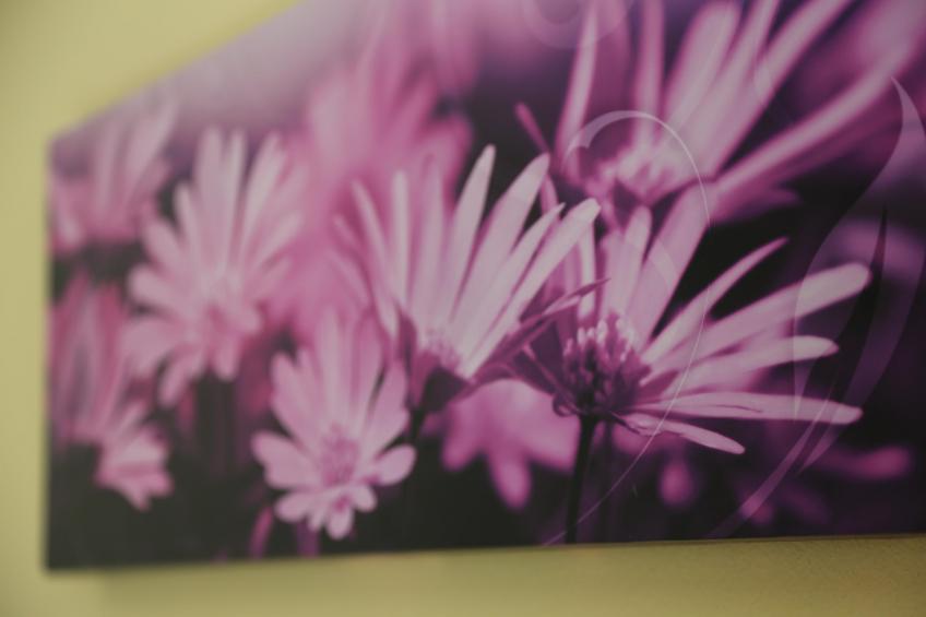 Ferienwohnung Freital - Dresden - foto 19