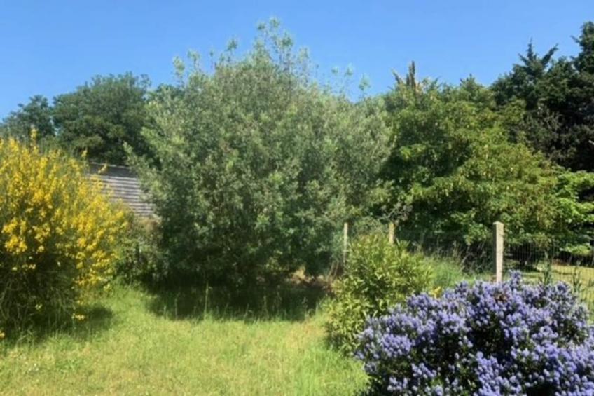 Résidence 620-pleneuf Val Andre - foto 4