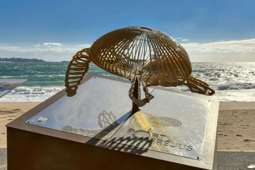 Mobilheime St. Aygulf Cote d'Azur - foto 23