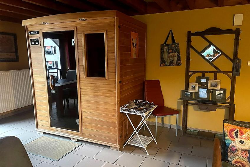 Hondvriendelijke woning met sauna en jacuzzi - foto 6
