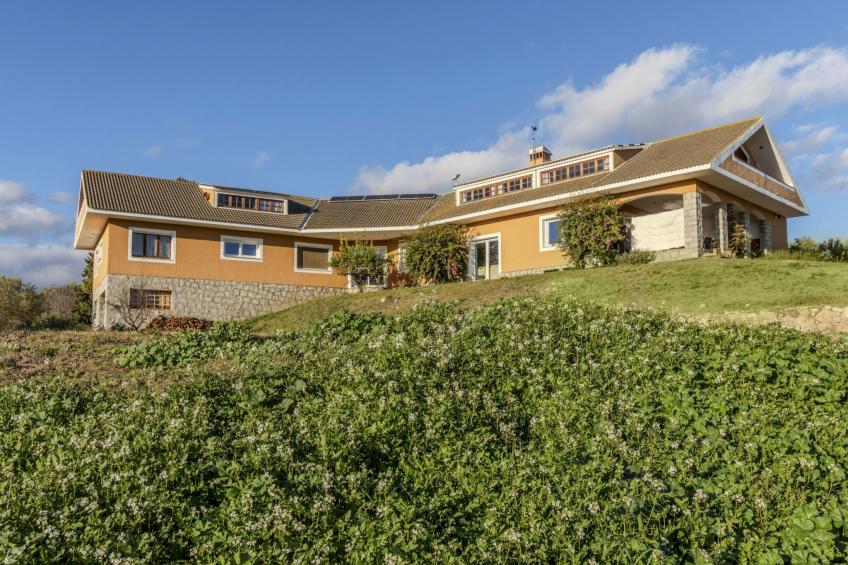 Finca el Olivar - foto 25