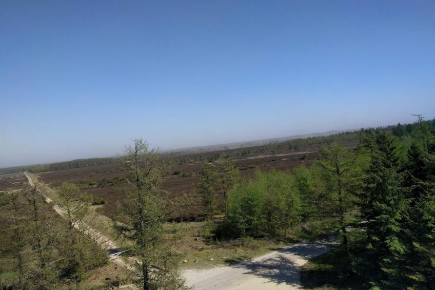 BF-VR54N - foto 5