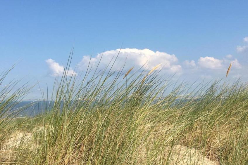 Harbour Village 2 - foto 27