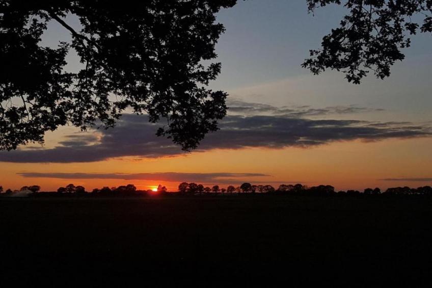 Hof van Salland - foto 30