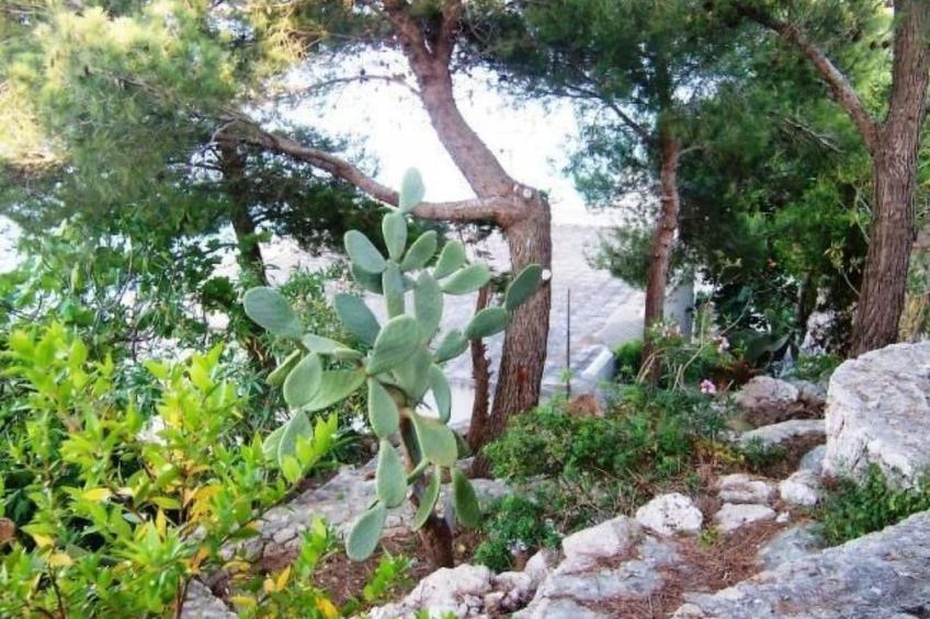 'Villa Rizzo' mit Terrasse - foto 8