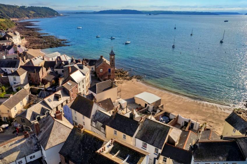 Blue Monkey - foto 4