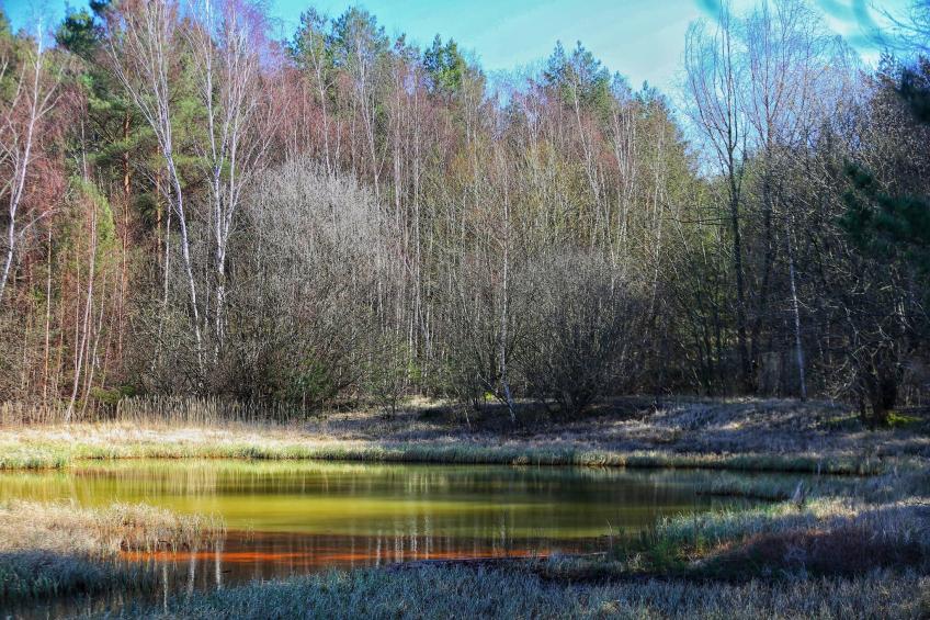 Single Room With Balcony - foto 31