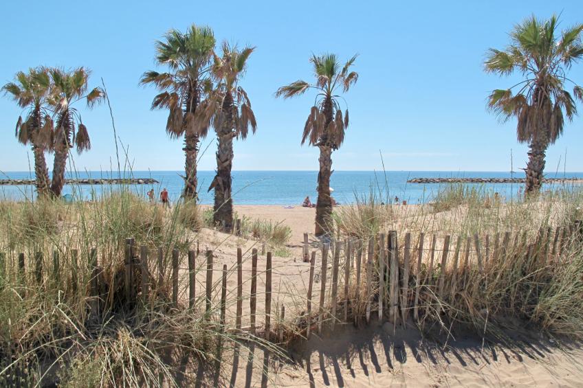 LES MAS DE LA MER - foto 44