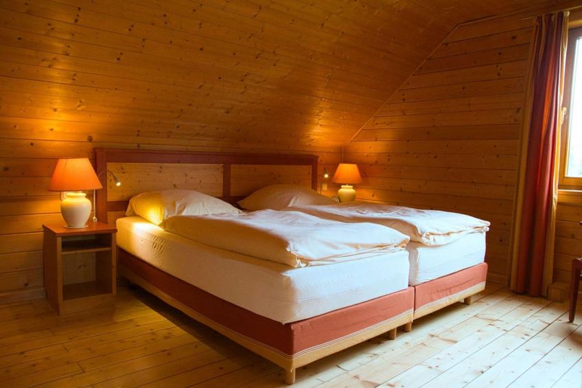 Ferienhaus in Hasselfelde - Haus 502 Auerhahn - foto 9
