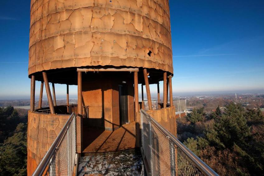 RCN Vakantiepark de Roggeberg 11 - foto 37