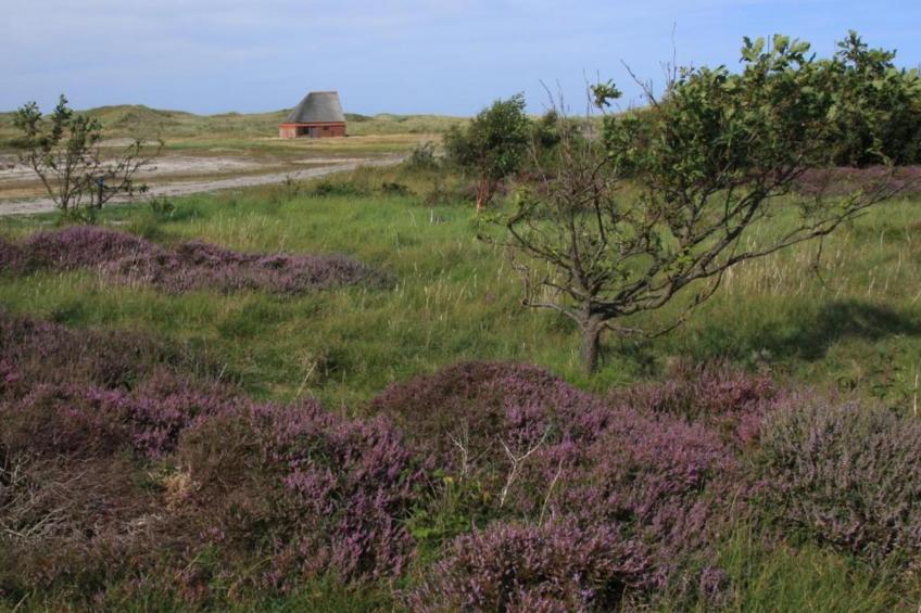 Residentie Californië - foto 29