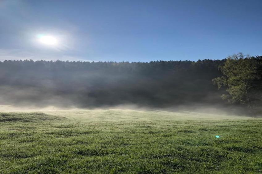 Ferienwohnung an der Talsperre Rauschenbach - foto 33