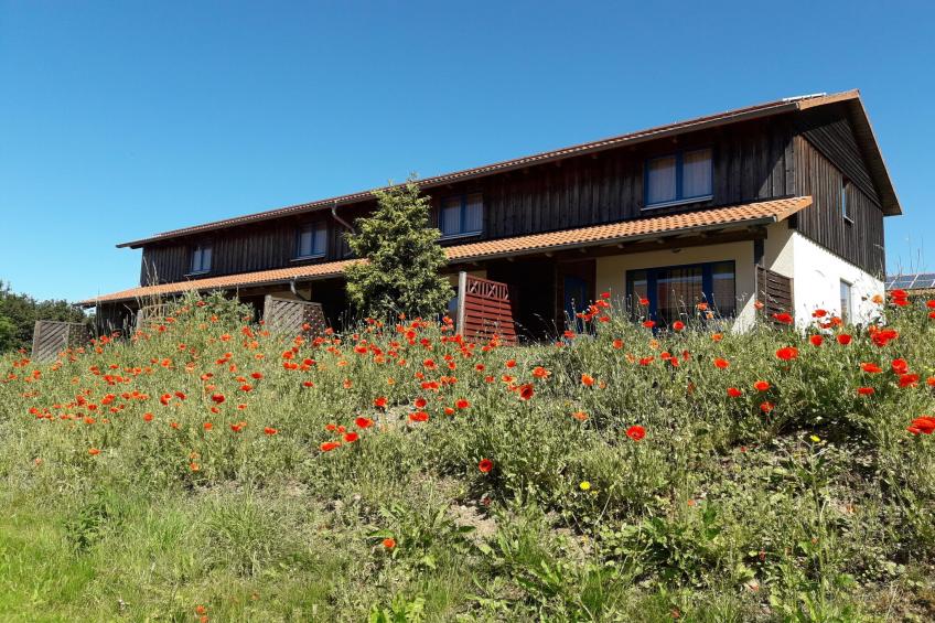 Vakantiepark Harz, Hasselfelde - Type A - foto 3