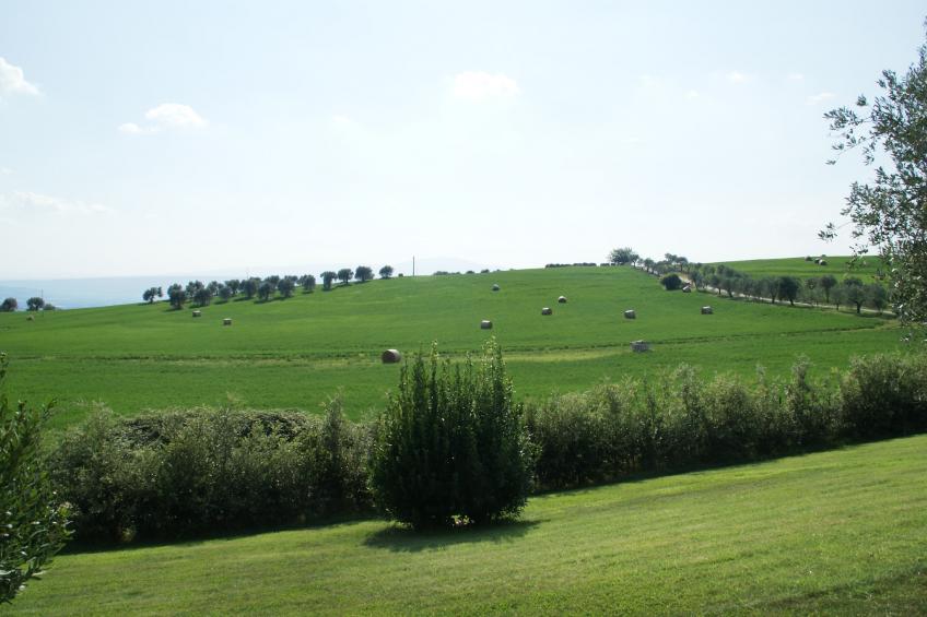 Il Leccio - foto 39