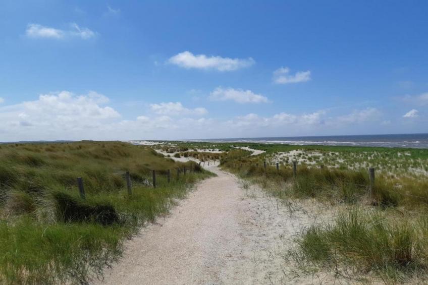 Beach 15-20 - foto 31