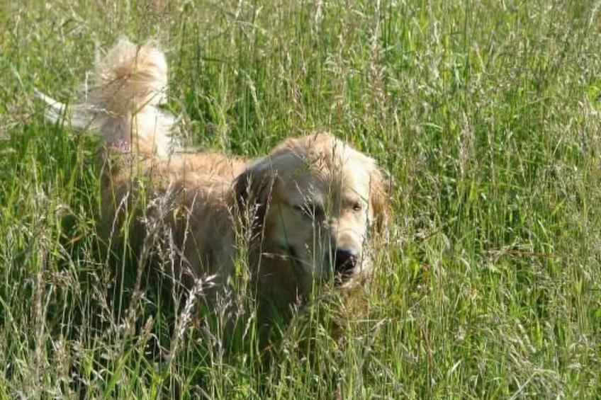 in Winnemark mit Großem Garten - foto 31