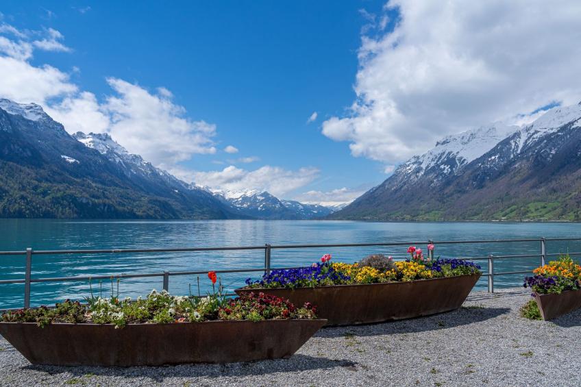 StayBrienz Apartment - foto 14