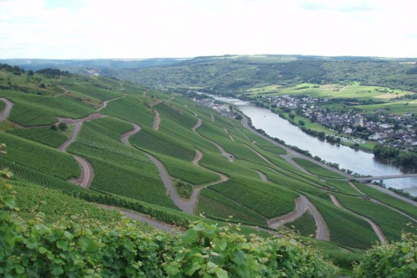 Weingut Justen-Kiebel - foto 23