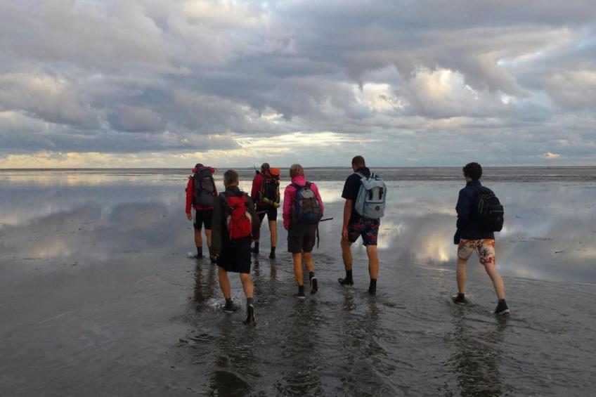 Bargereed 90 - foto 34