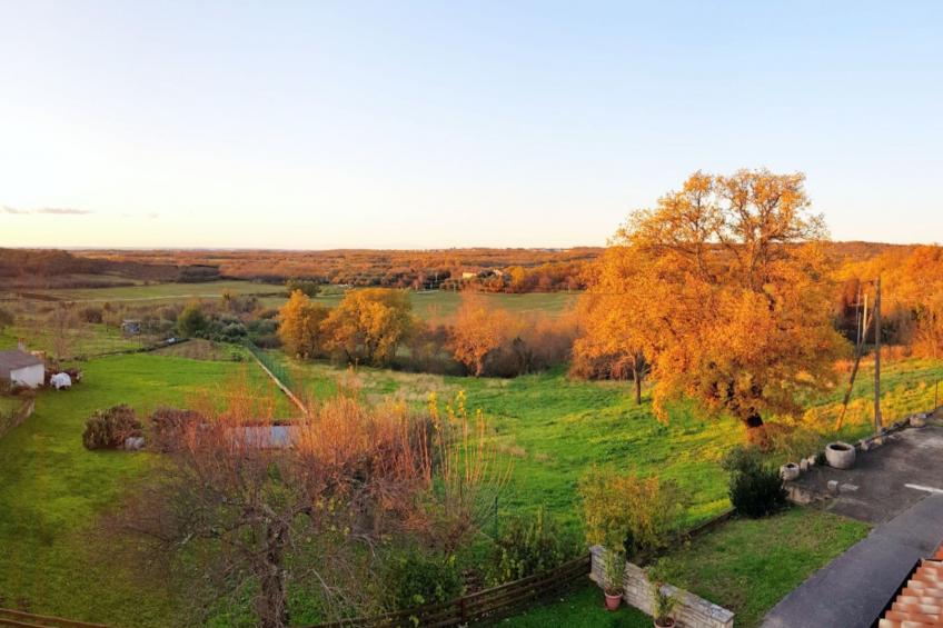 MARINA PICUDO - foto 44