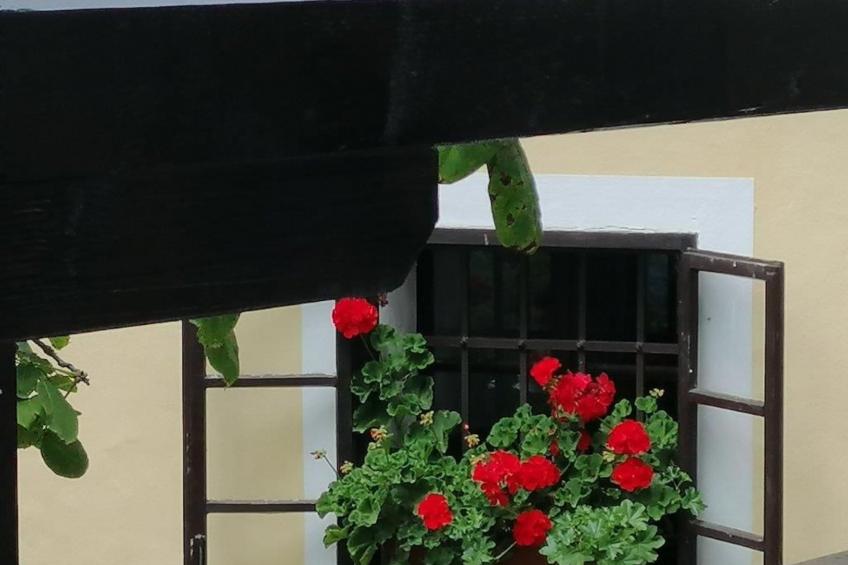 Studio-Appartement mit Balkon - foto 46