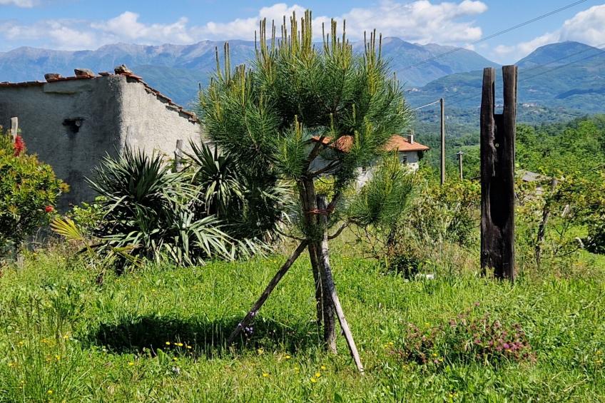 Mini-Appartement Casa Colombana mit Panoramablick - foto 10