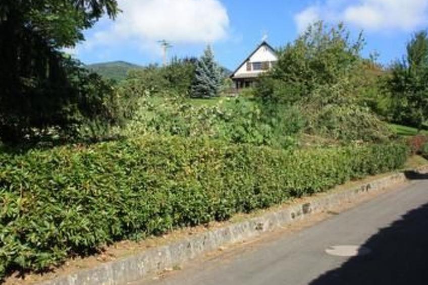 Bellevue mit Große Garten - foto 32