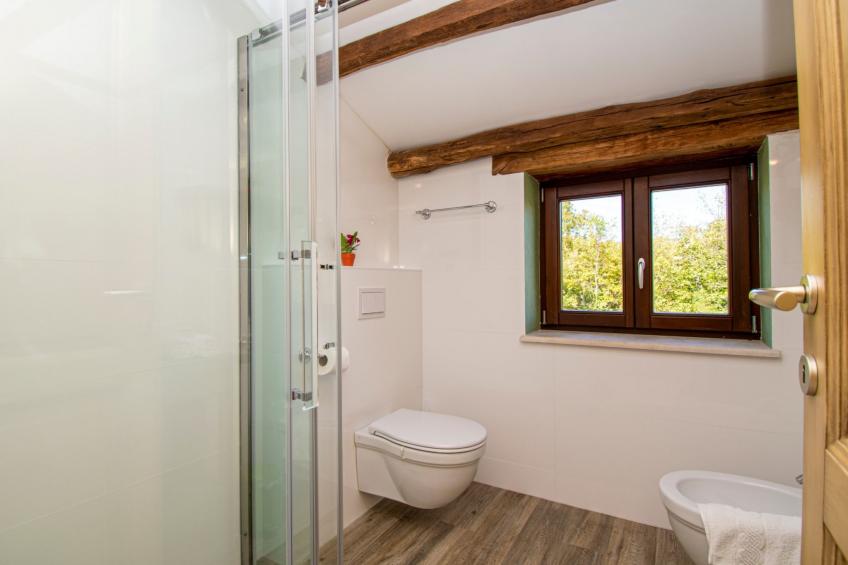 Villa Banic Motovun - foto 43