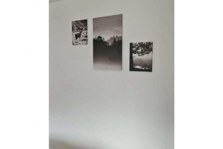 490403 - foto 22