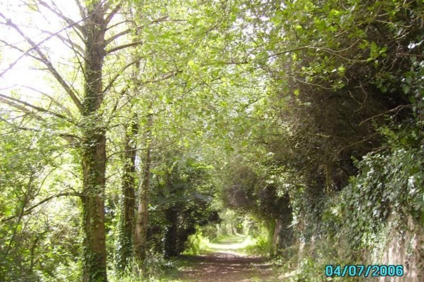 "Gîte de la Sienne" - foto 32