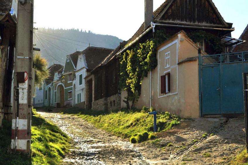 Casa Zollo - nahe den Karpaten Transsilvaniens - foto 22