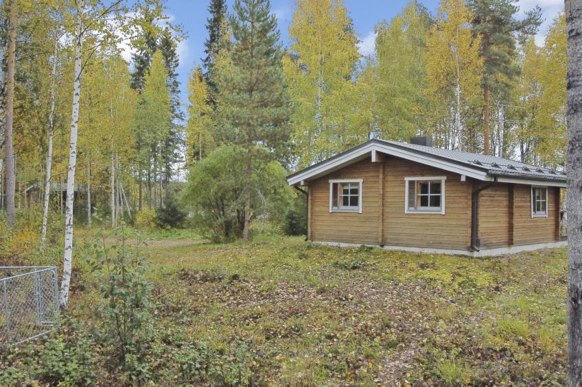 Niemenkärki, vaikon loma ja lohi - foto 12