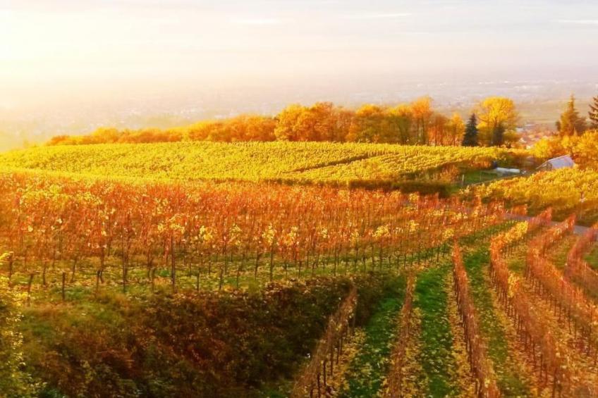 Traumwohnung - foto 29