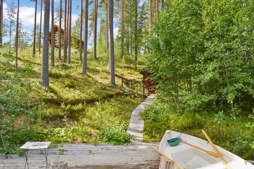 Villa tunturitervakko - foto 27