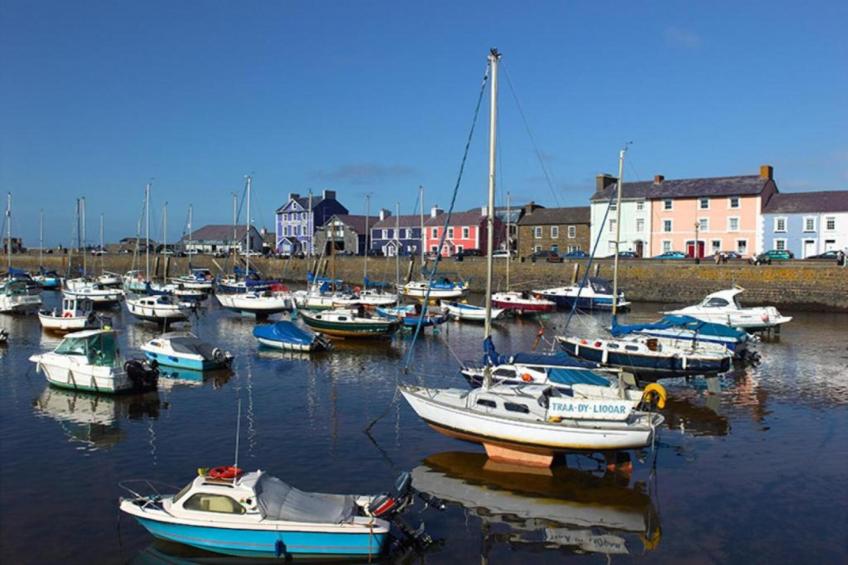 Brodawel - Field Cottage - foto 37