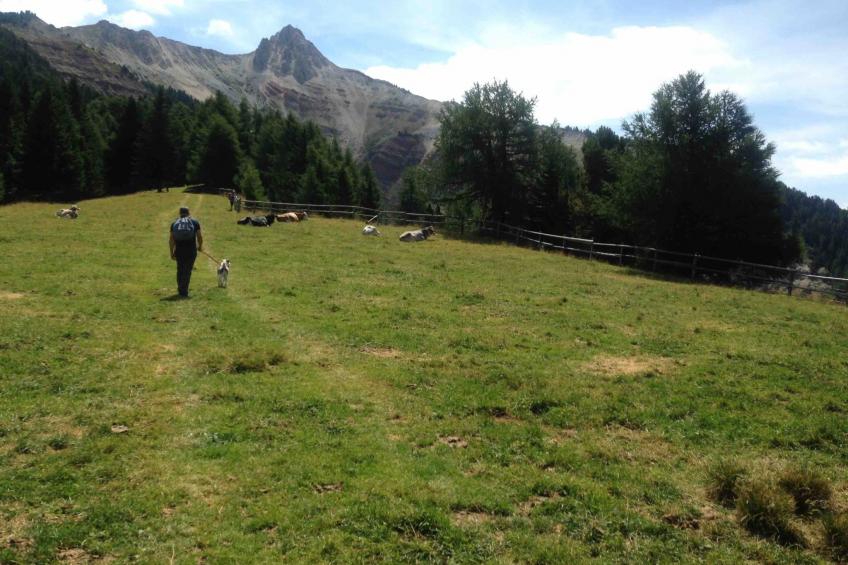 Chalet "Rennweg 114" mit Sauna - foto 76