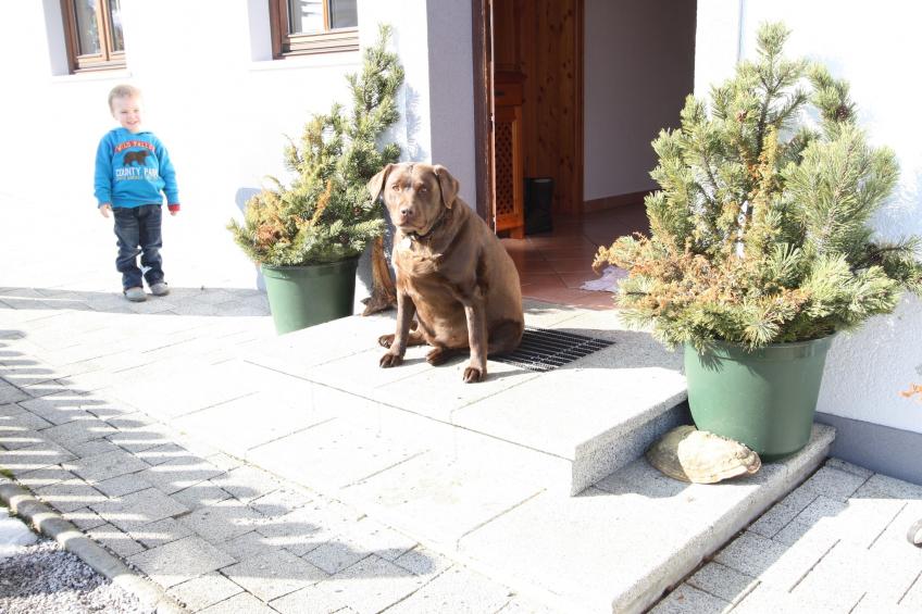 Pehambauer - foto 40