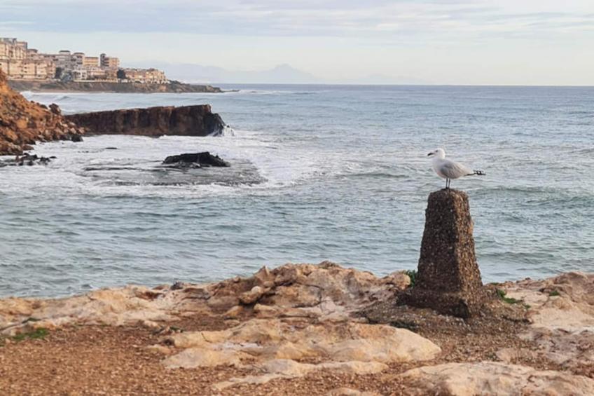 Maison à Torrevieja - foto 55